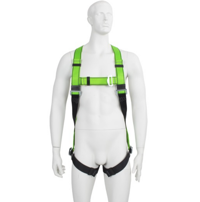 G-Force P10 Safety Harness