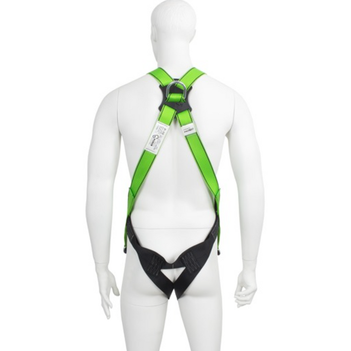 G-Force P10 Safety Harness